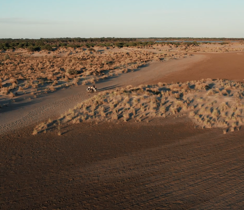 Plage de L'Espiguette