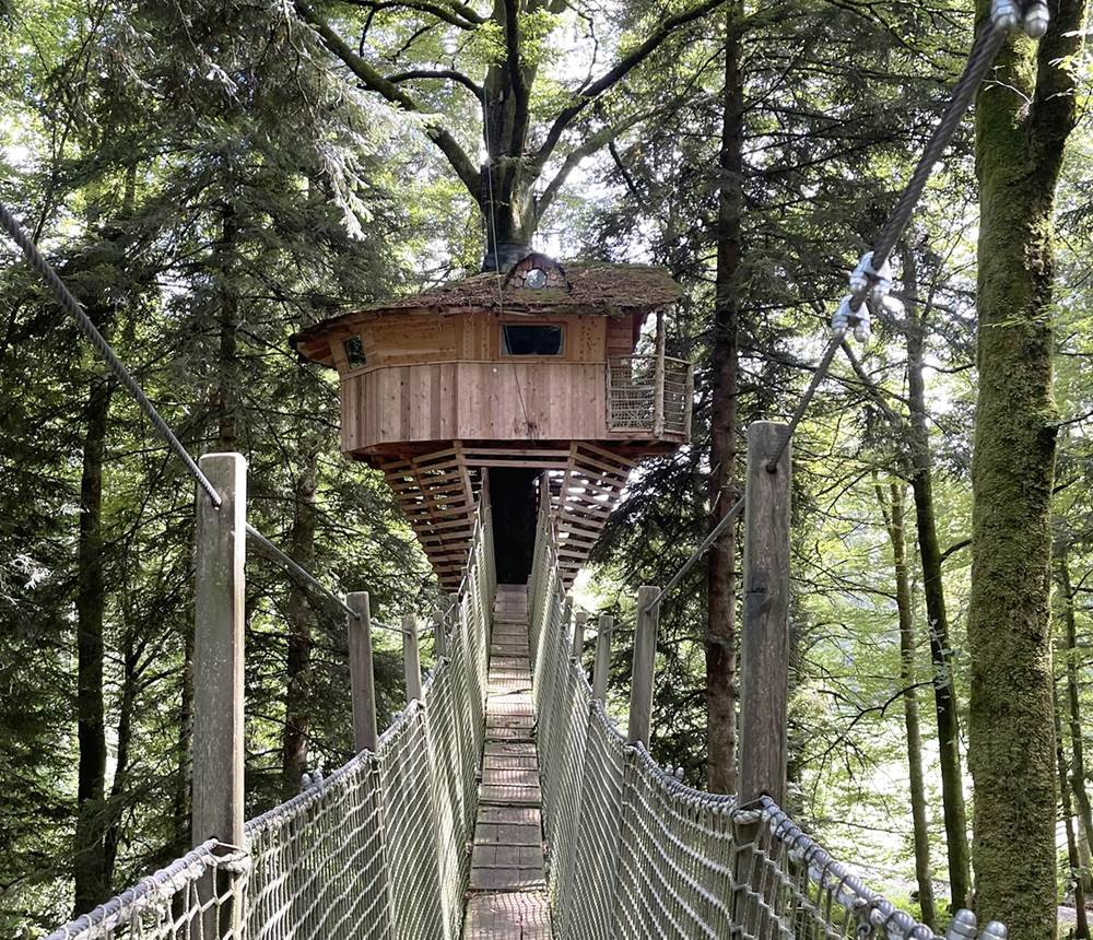 fauconnière_vue_passerelle_redim