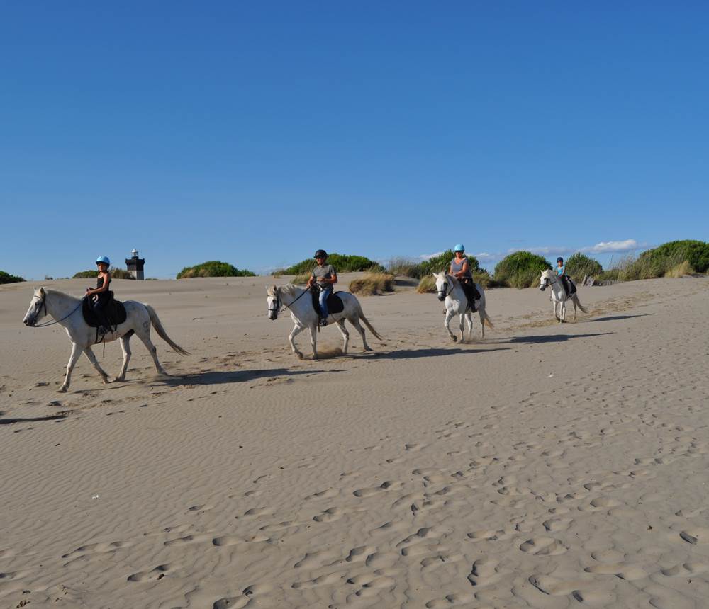 Les Dunes