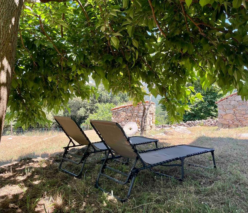 Détente à l’ombre des arbres, bercé par le calme de la nature.