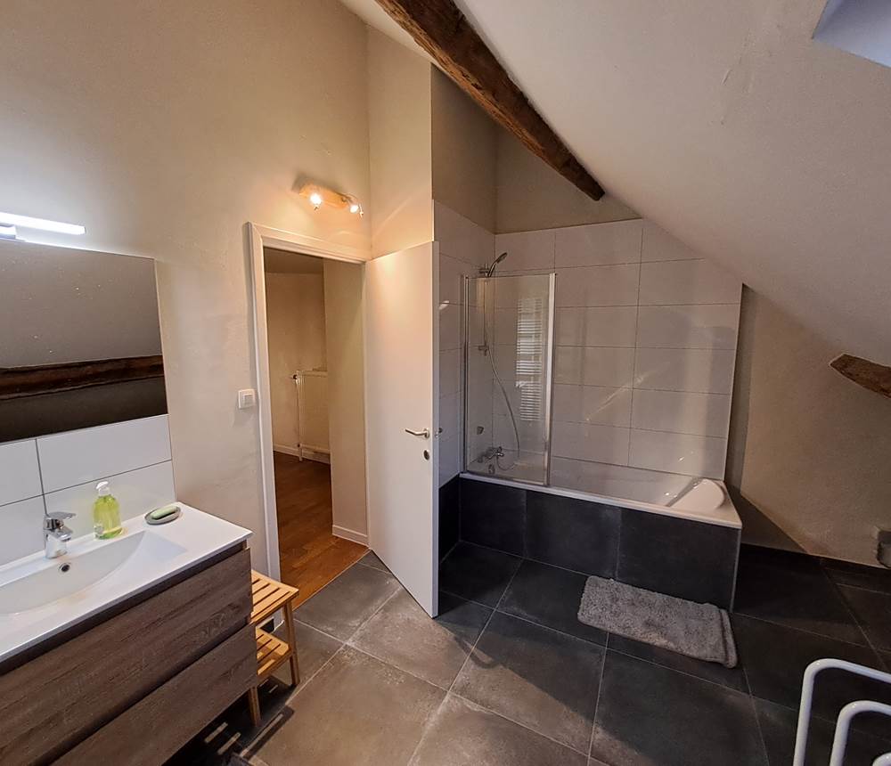 Grande salle de bains avec baignoire