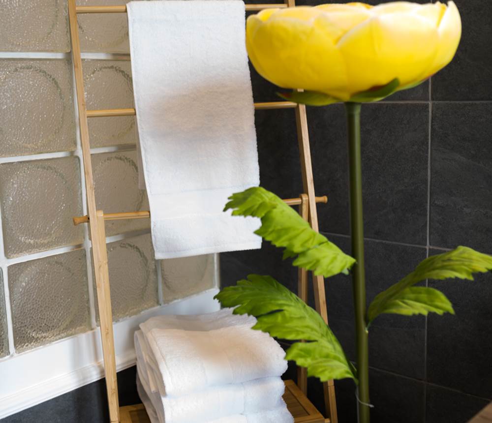 Linge de toilette Jalla et Descamp