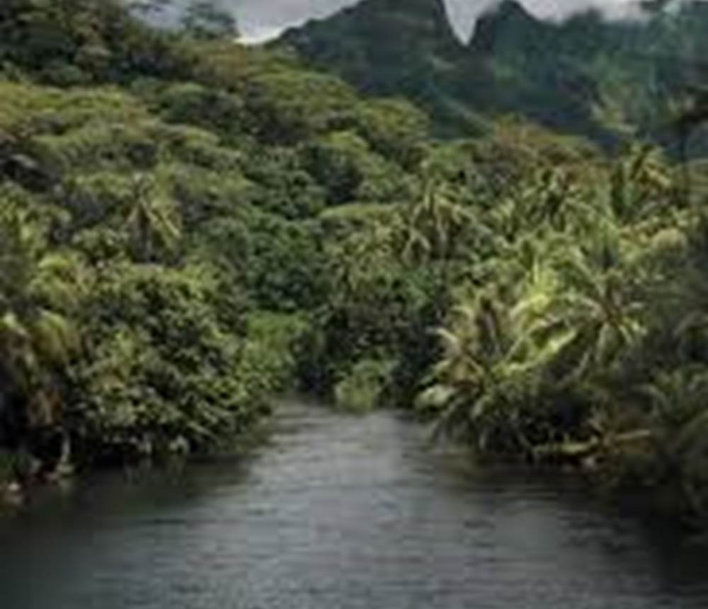 RIVIERE2