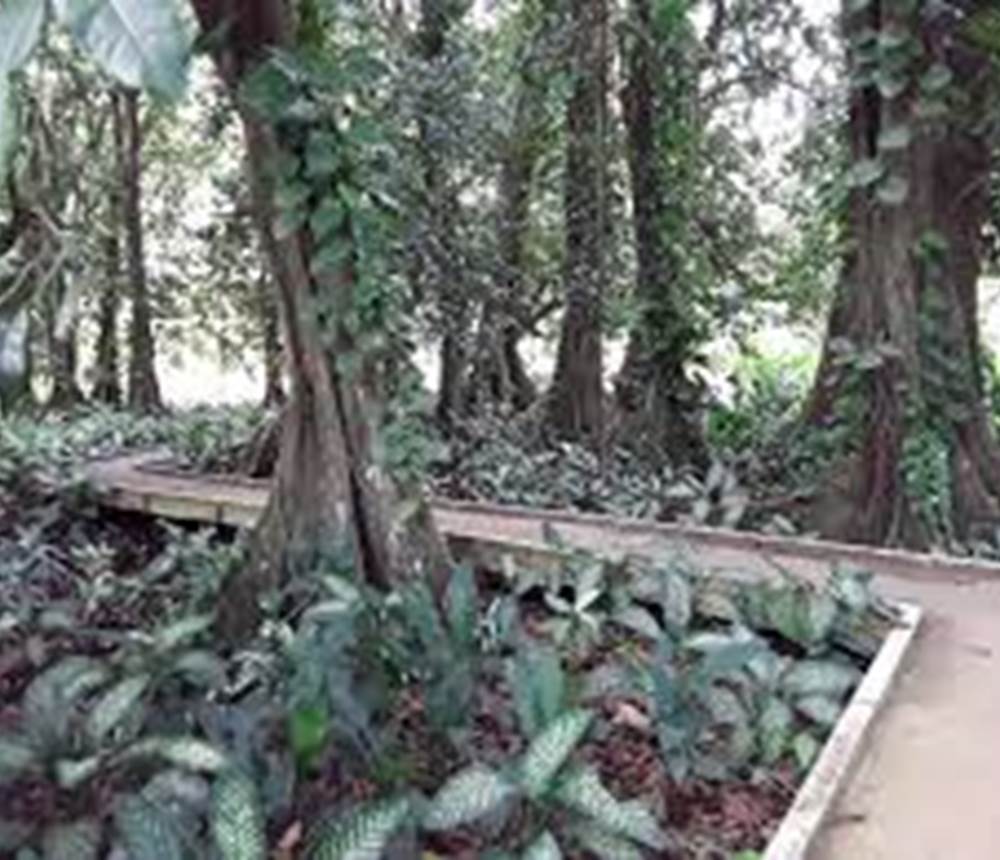 JARDIN B2
