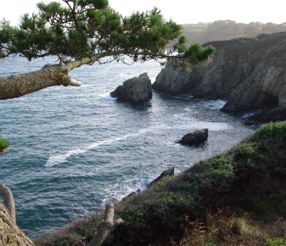 L'anse de Poulizan, à 1,2 kms des gîtes Le Jardin de l'Ecurie et La Grange