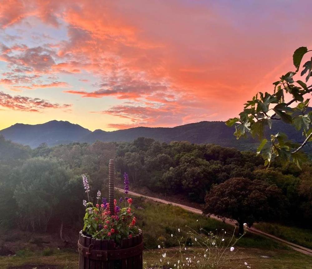 Superbe coucher de soleil sur les montagnes.