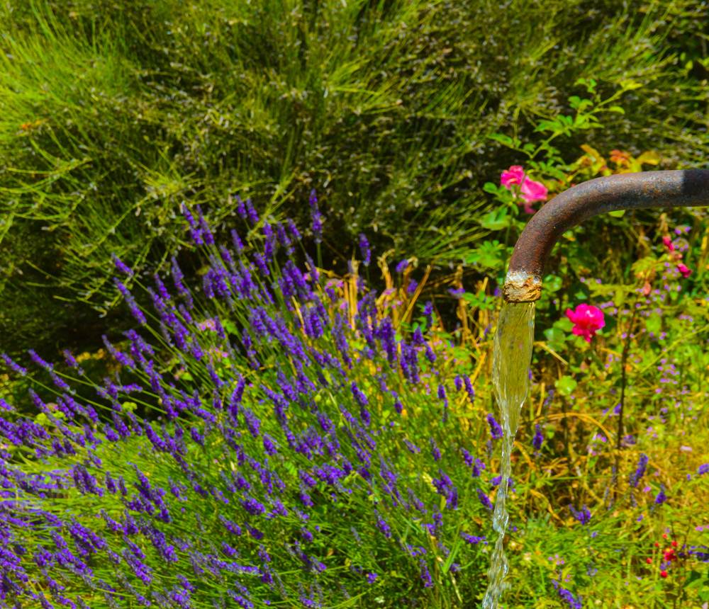 La fontaine de la Bastide du Claus