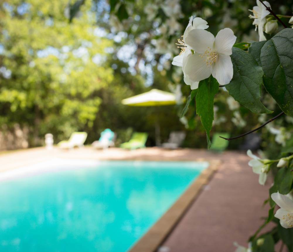 La piscine du Mas des Sages entourée de verdure avec jeux ombre et soleil