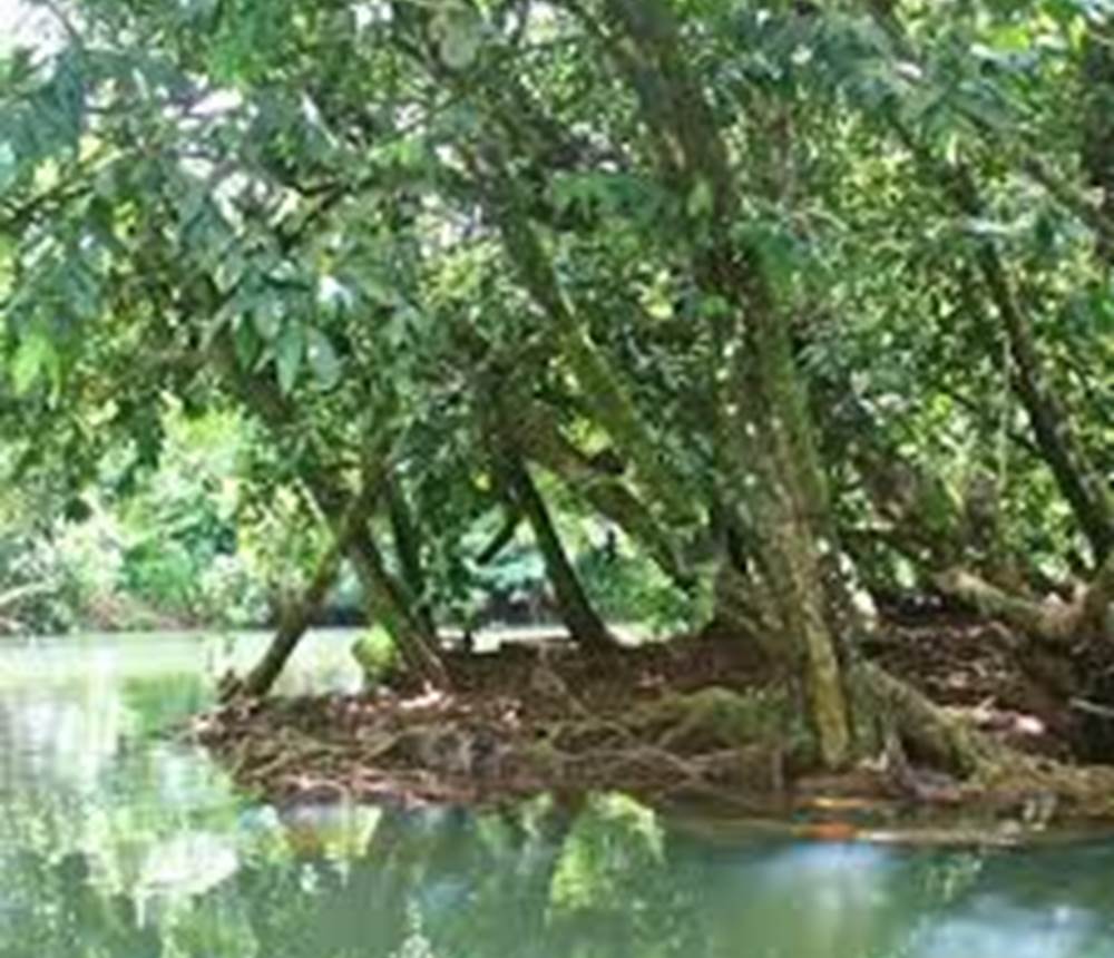 RIVEIRE FAAROA
