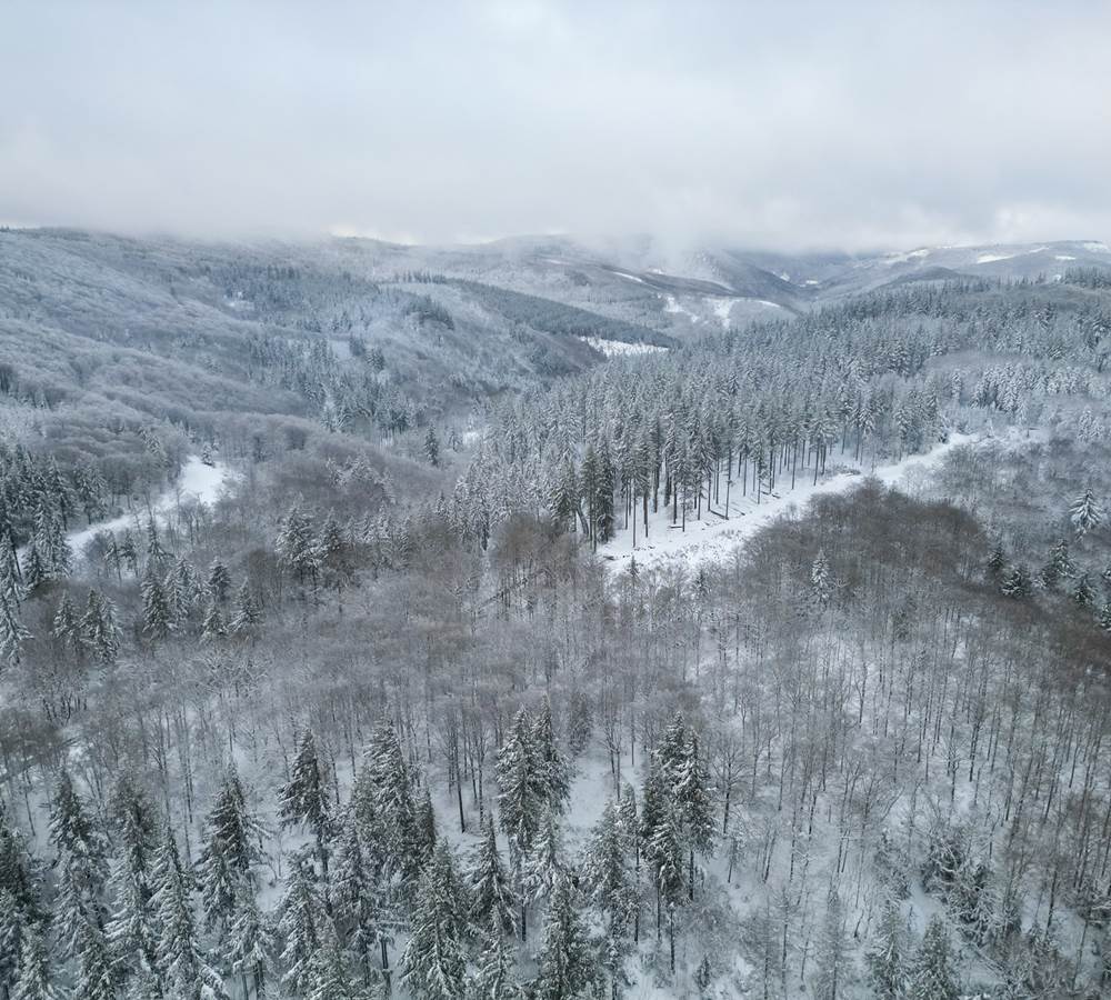 Paysage dans les hauteurs