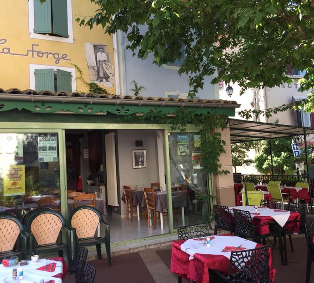 Terrasse ombragée par un platane centenaire Castellane