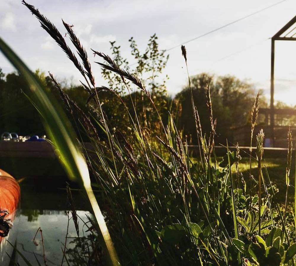 Photo prise par mes locataires