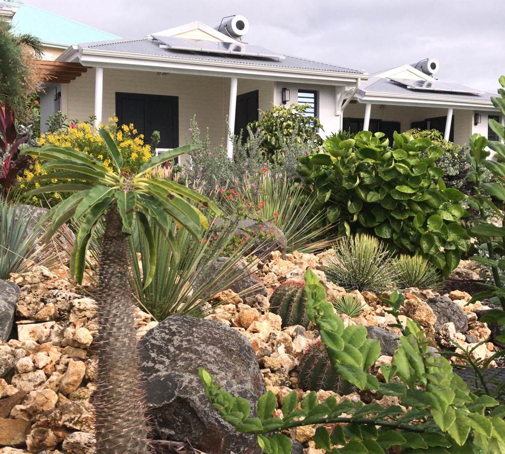 Sous ce jardin sec, la micro station d'épuration fait son œuvre et nourrit le jardin paysagé