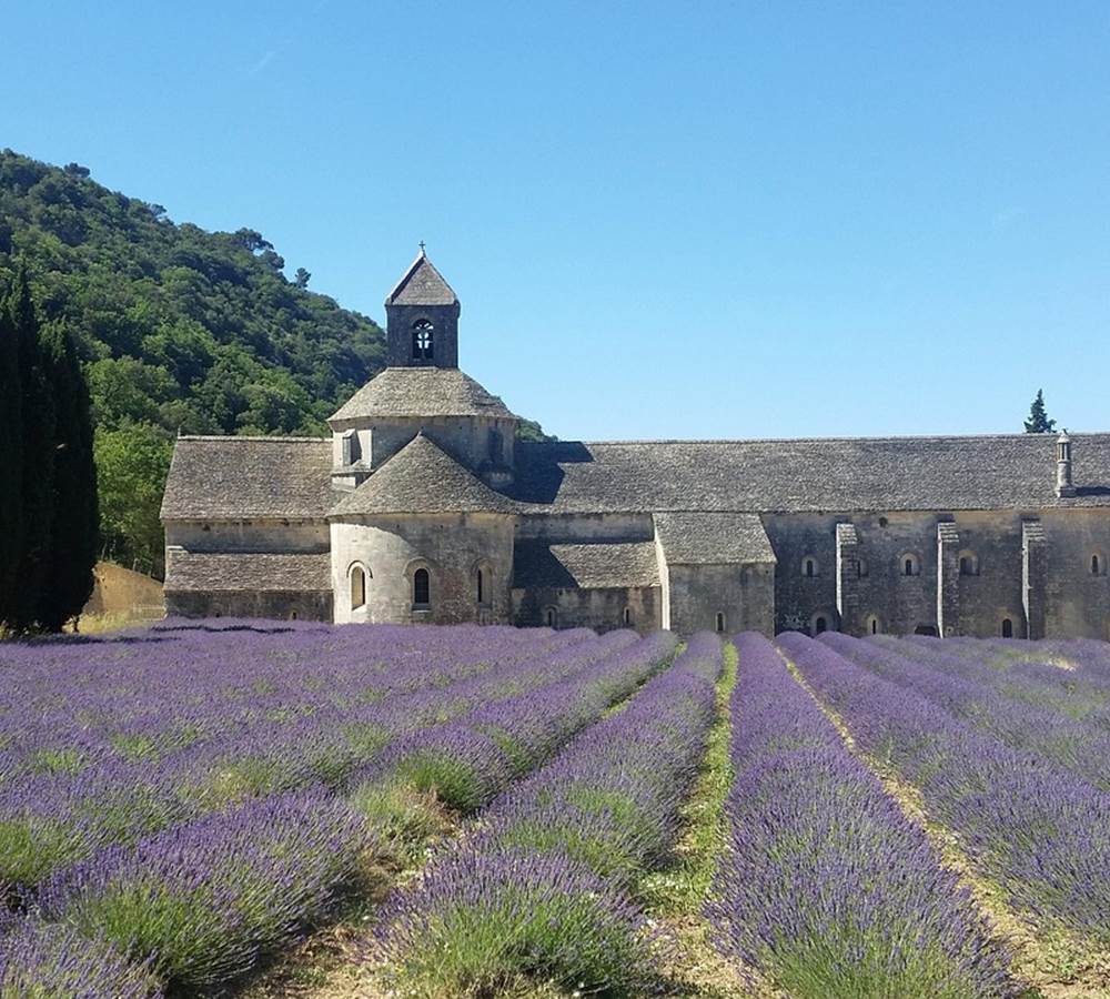 Abbaye de Sénanque