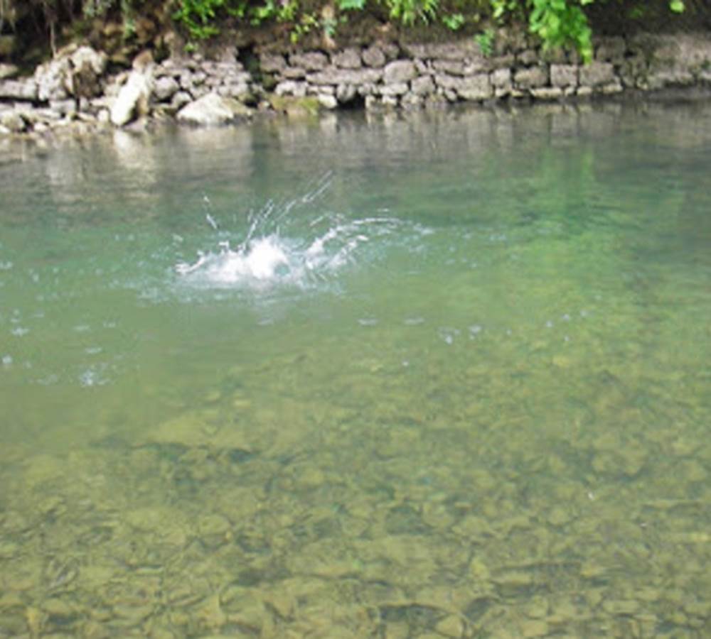 d5c6fec7517ae3f0acc43c14bd6a7083