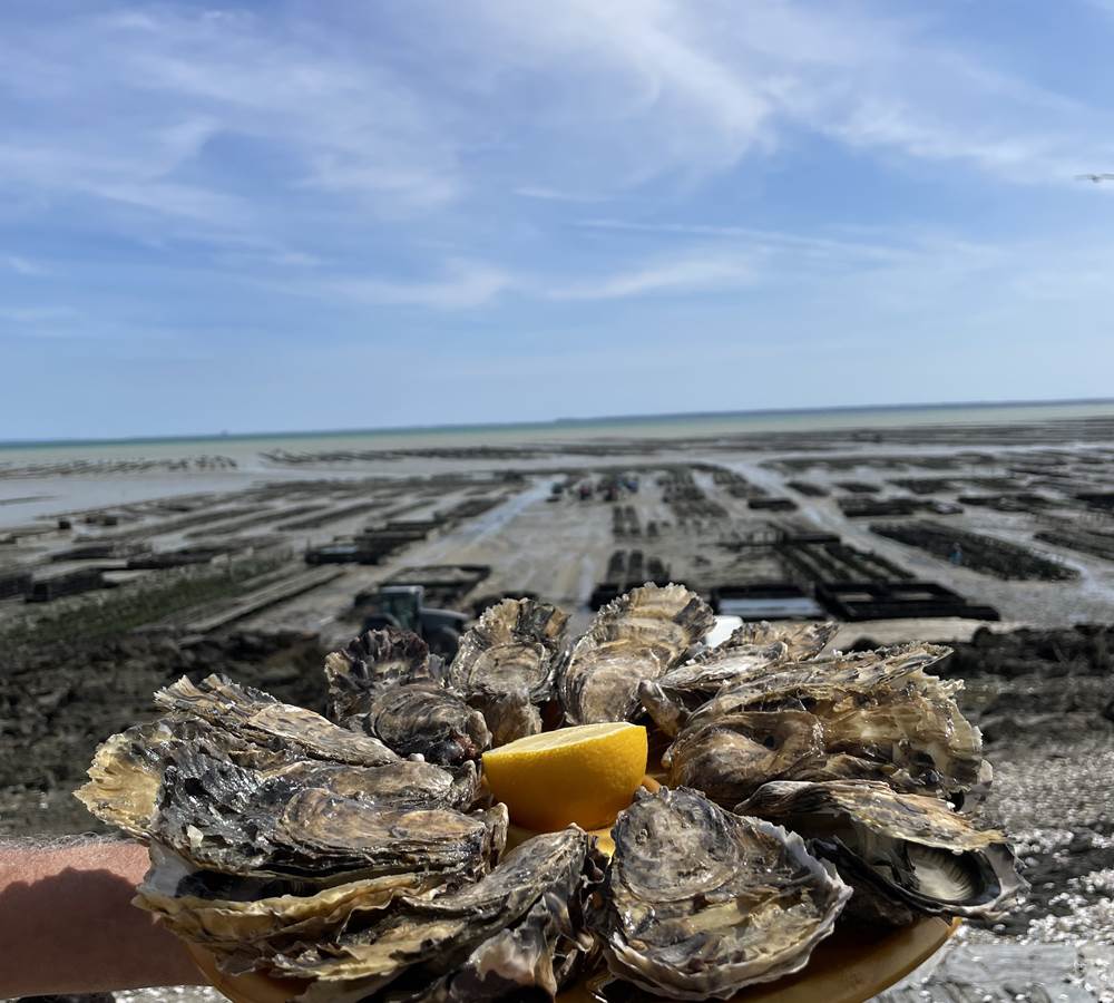 Cancale : parcs à huitres et dégustation !