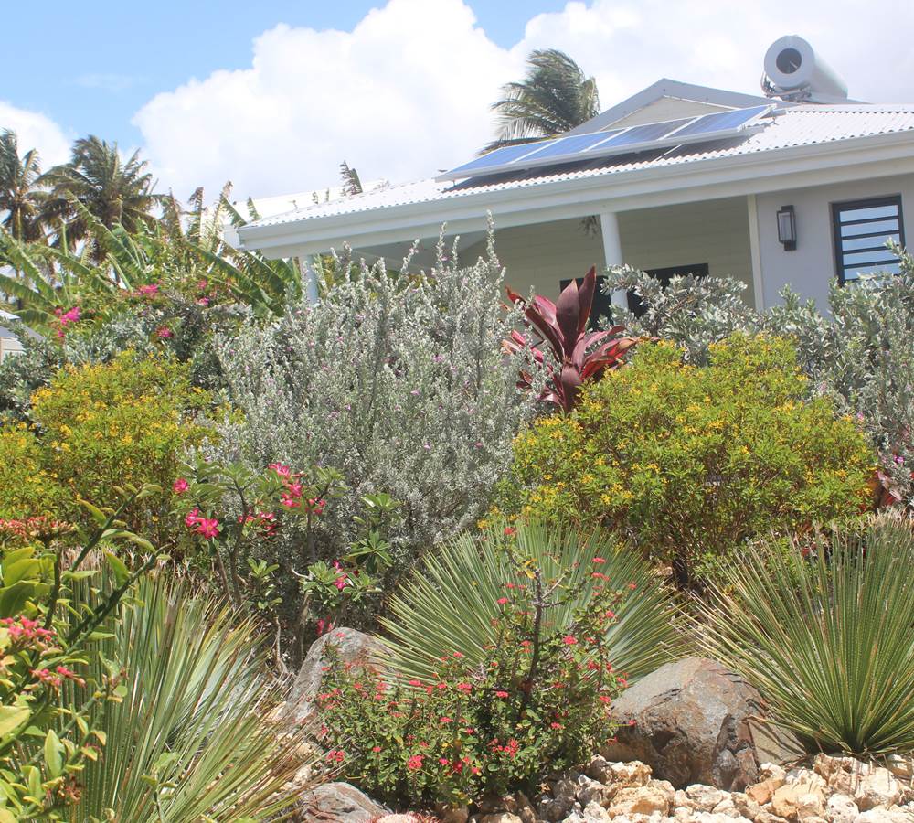 Iguane House villas & Micro Spa : le soleil fournit directement l'énergie pour la filtration des piscines et le chauffage de l'eau sanitaire...