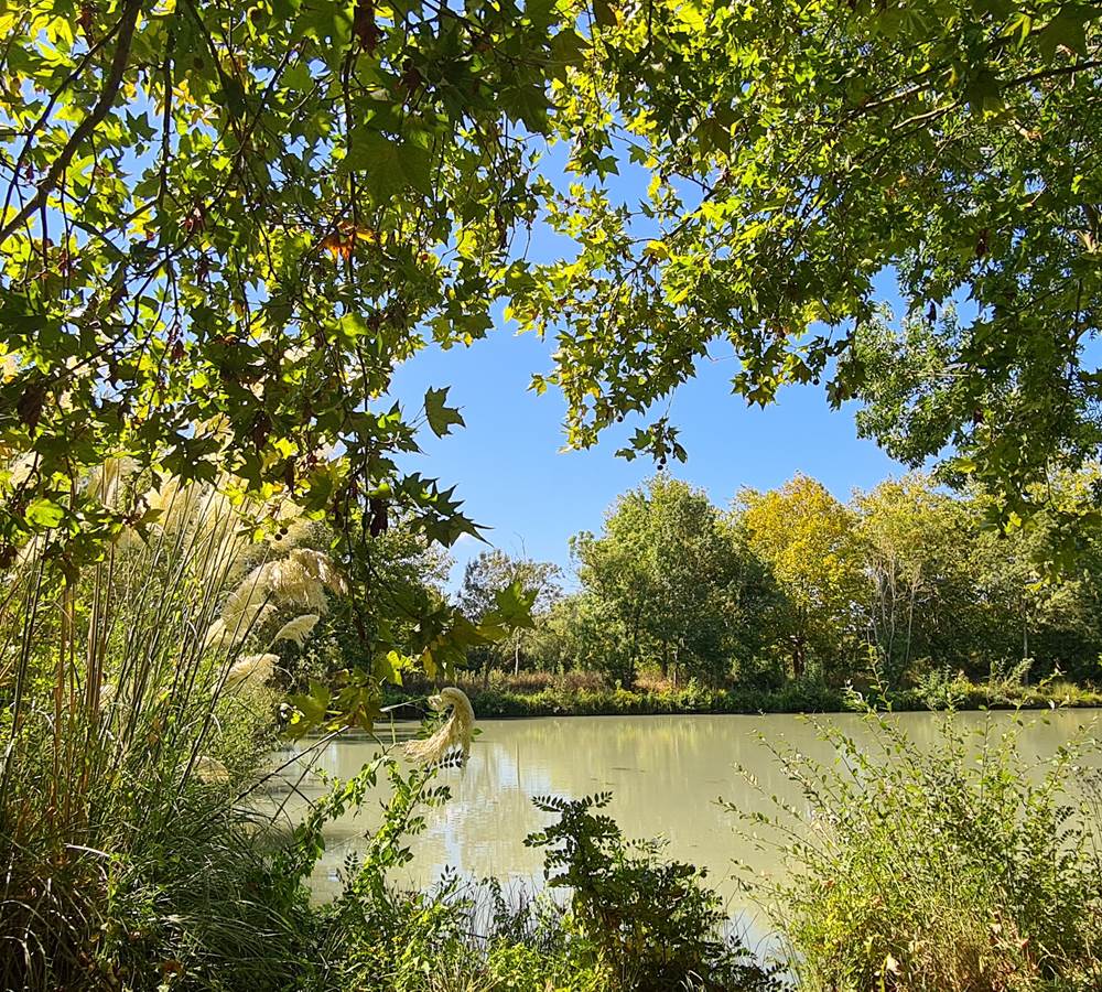 Les étangs de Julie