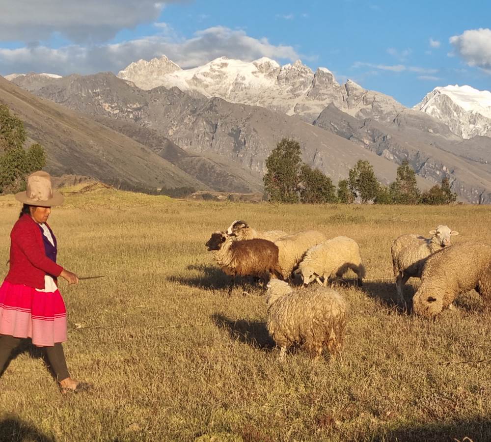 Comunidad de Copa Grande