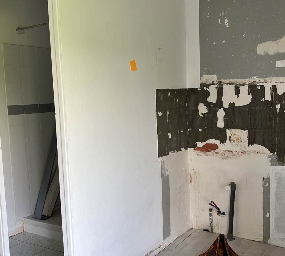 Avocette se refait une beauté