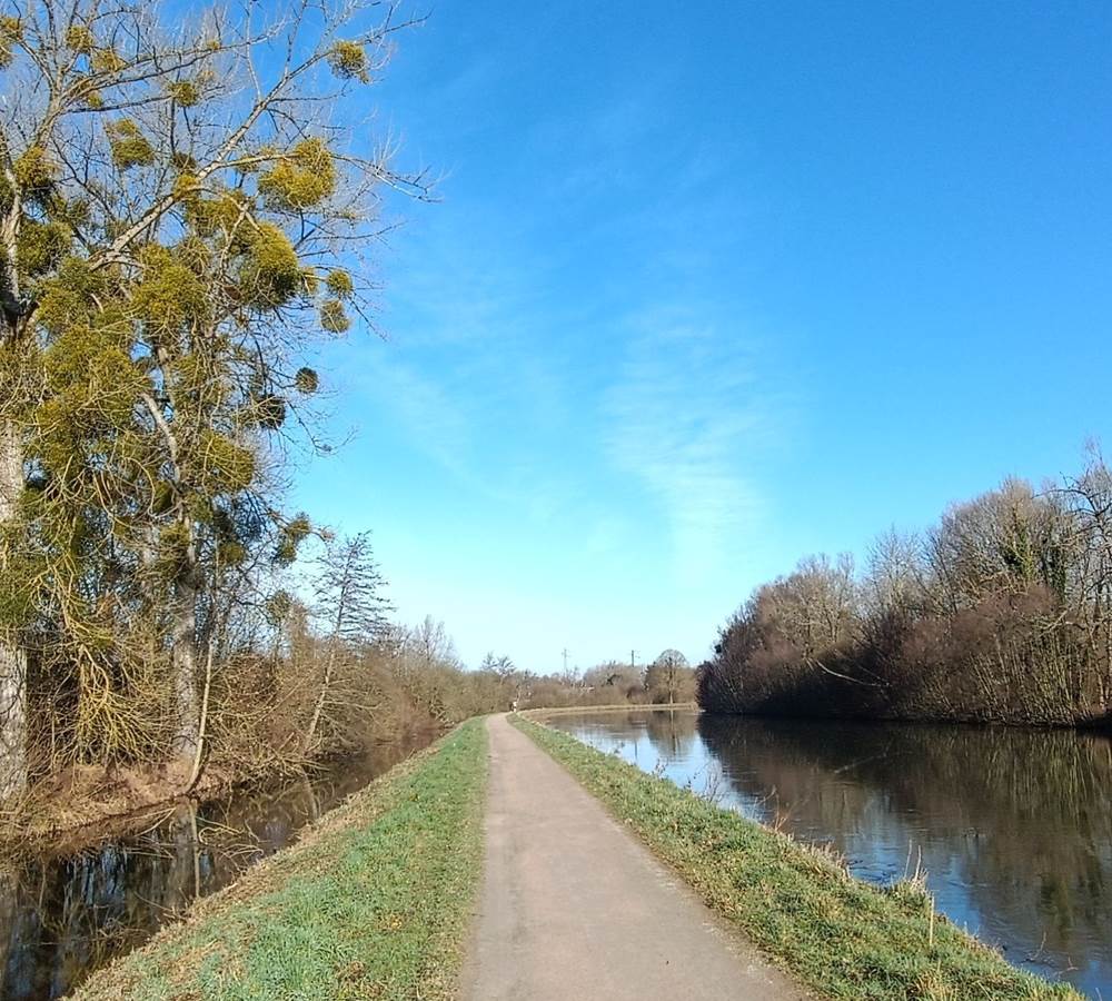Les bords de Somme à Abbeville
