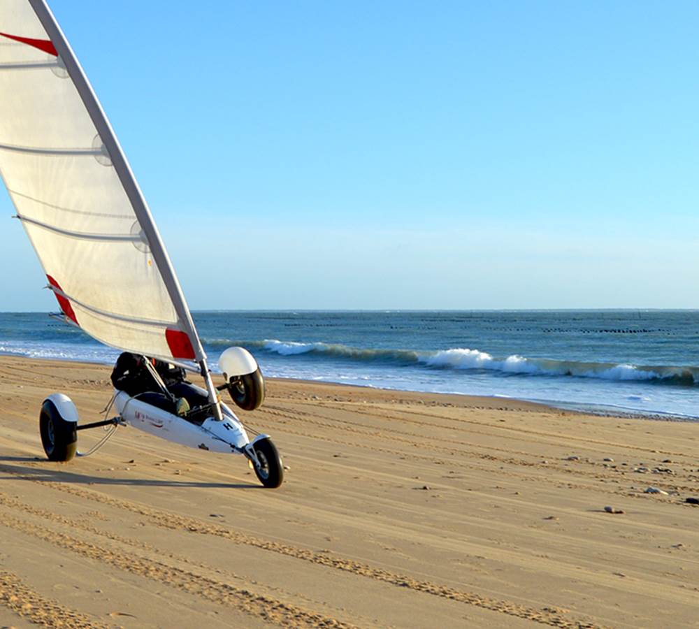 La plage des Bélugas