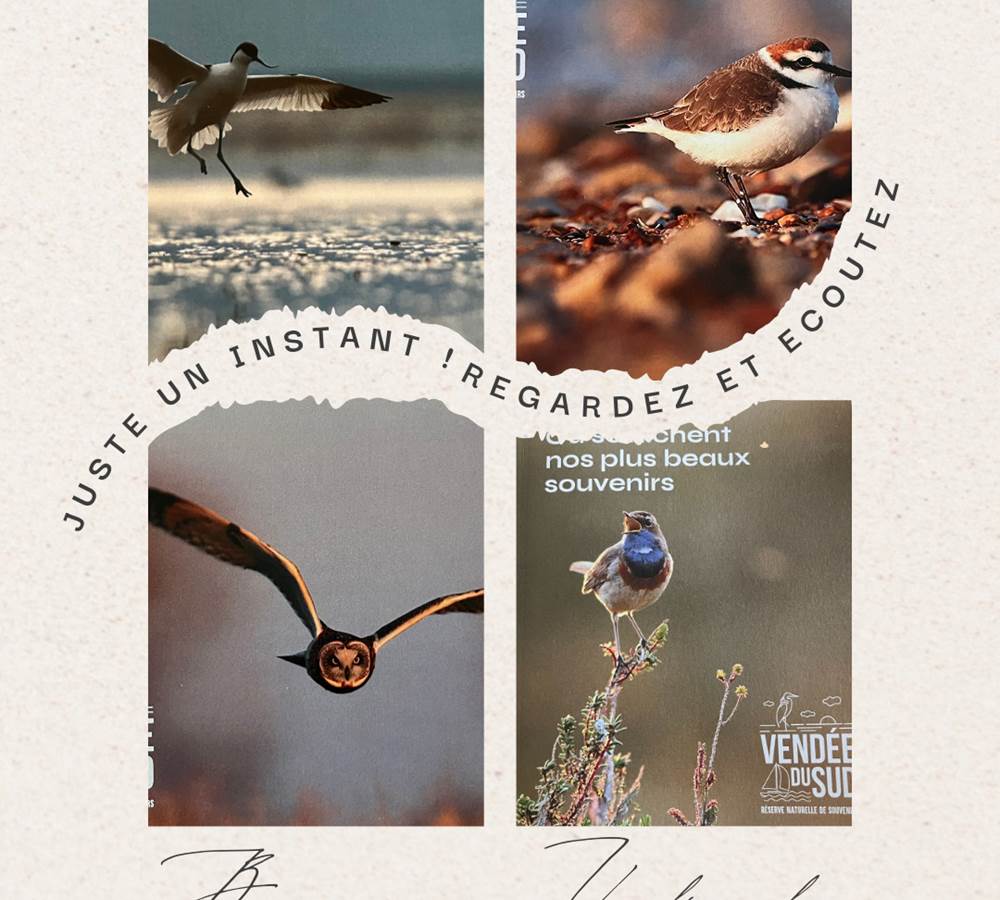 Sorite du guide touristique Vendée du Sud 2025