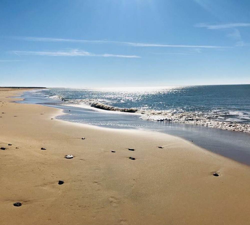La plage de la Barrique