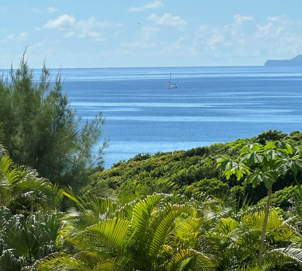 Iguane House Villas & Micro Spa Sainte Anne Guadeloupe