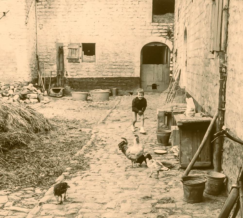 Ferme Fortemps - Cour avec le fumier 1946