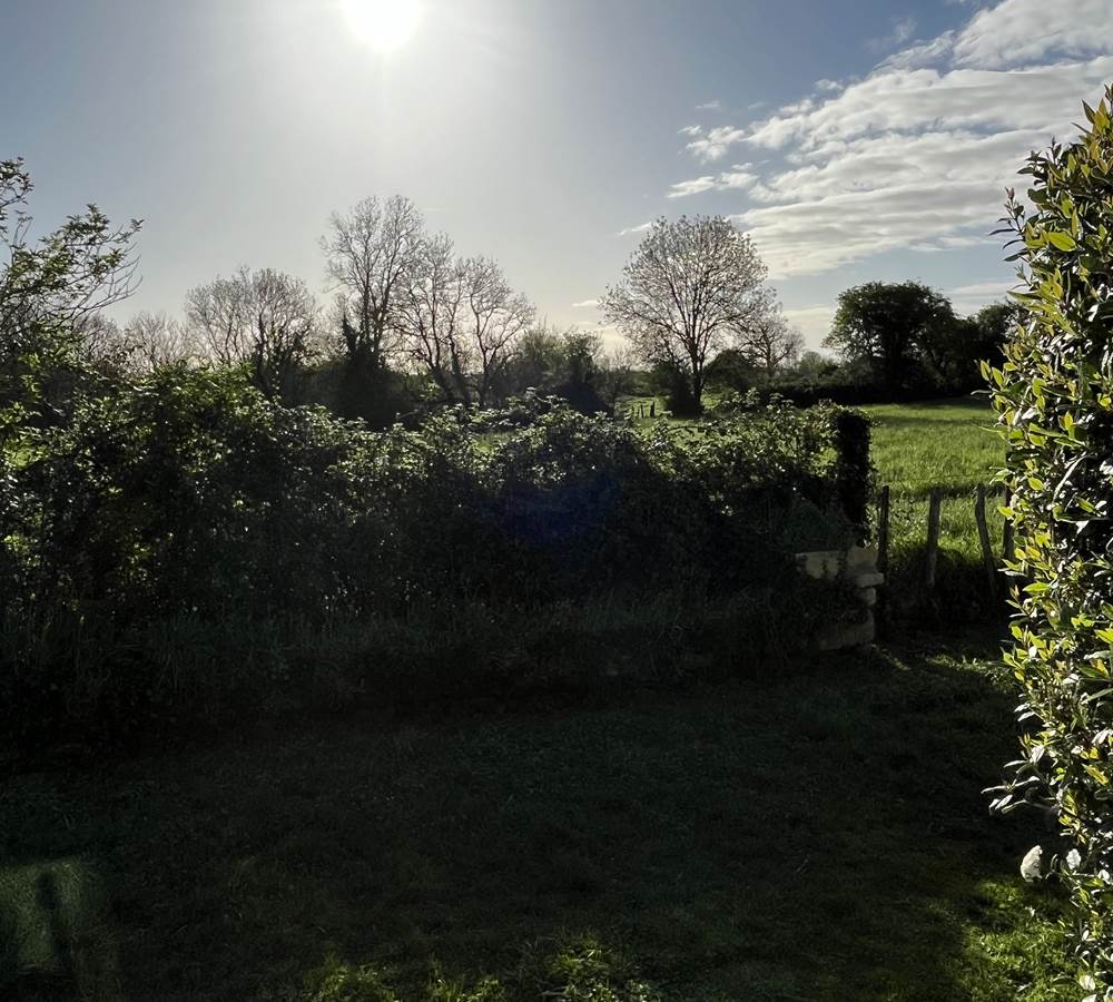 La vue prairie depuis les gites