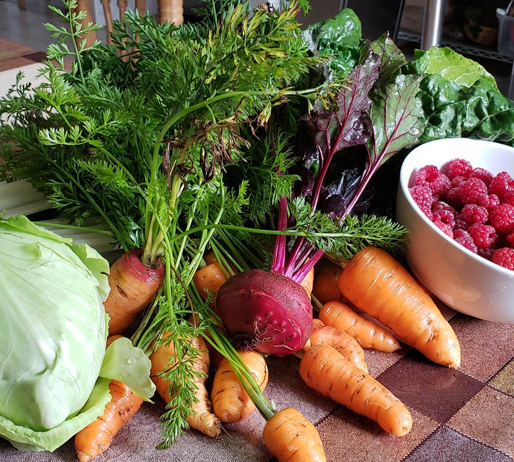 Del Huerto a la Olla...