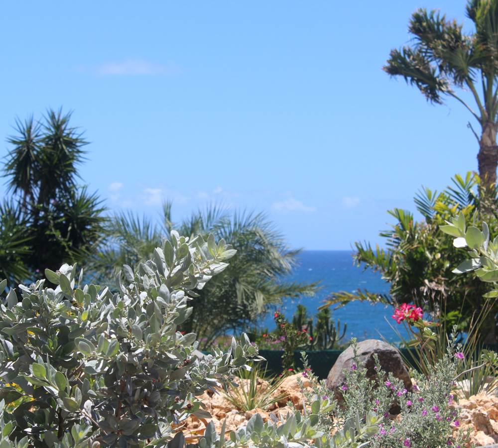 Iguane House villas & Micro Spa jardin et vue mer