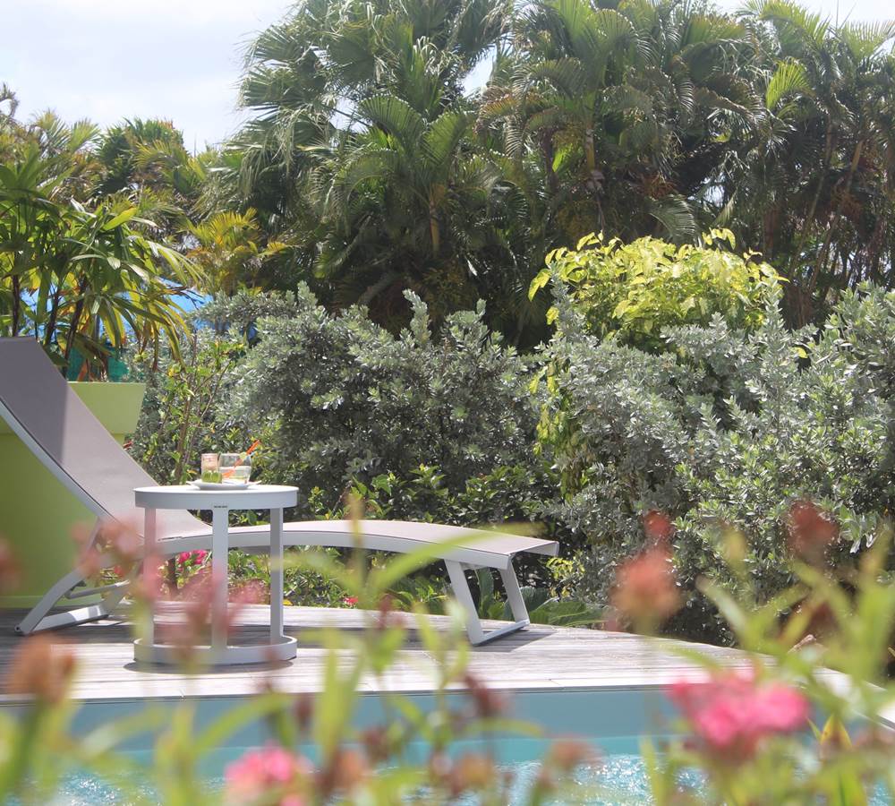 Iguane House villas & Micro Spa farniente autour de nos piscines