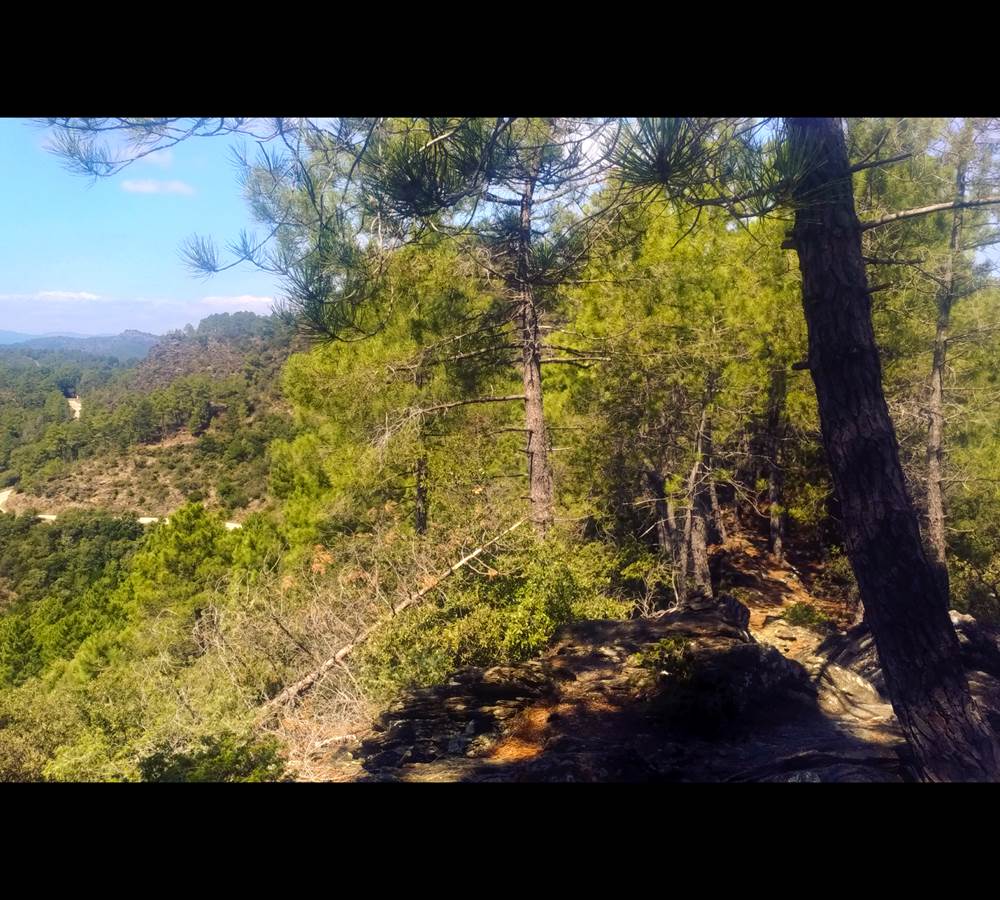 Le chemin aux alentours de St Jean du Gard