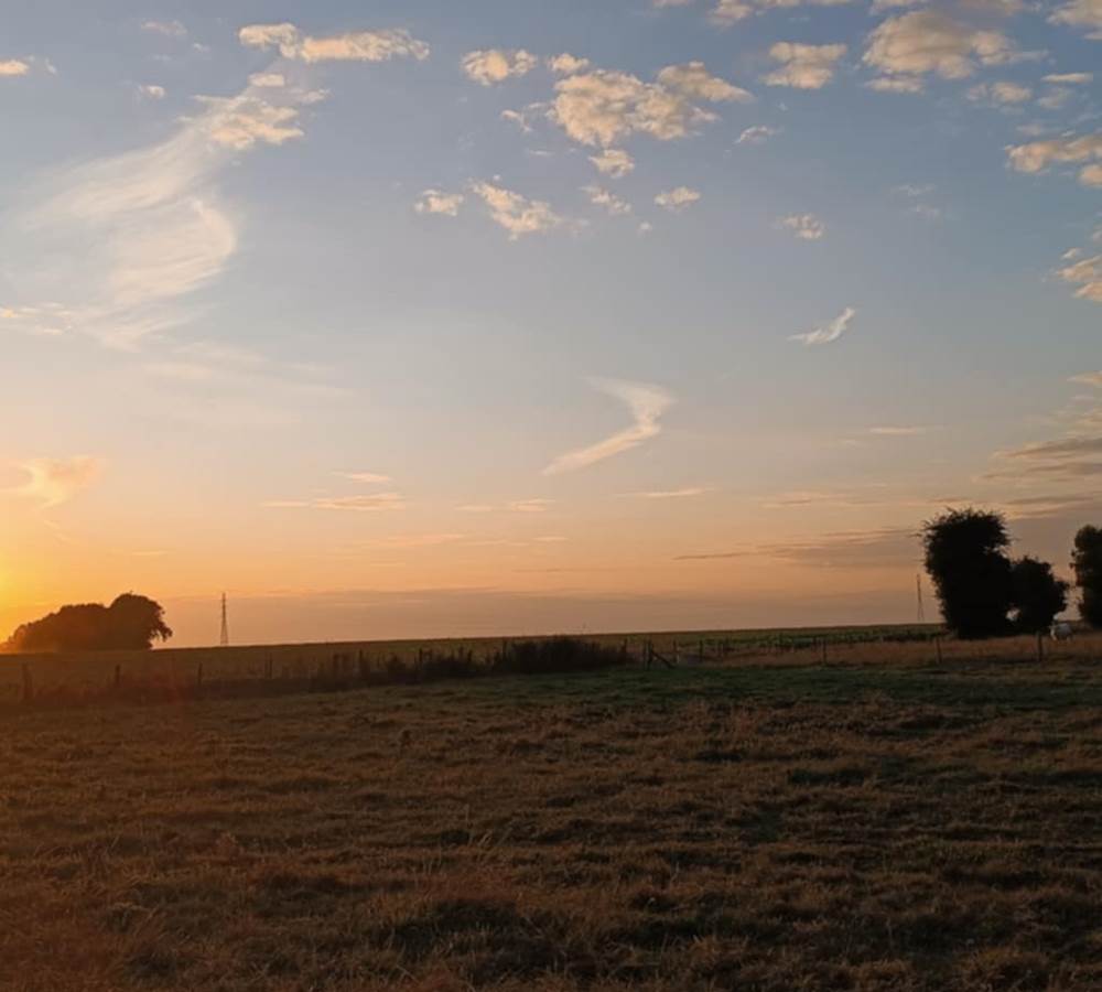 Béhen la campagne picarde