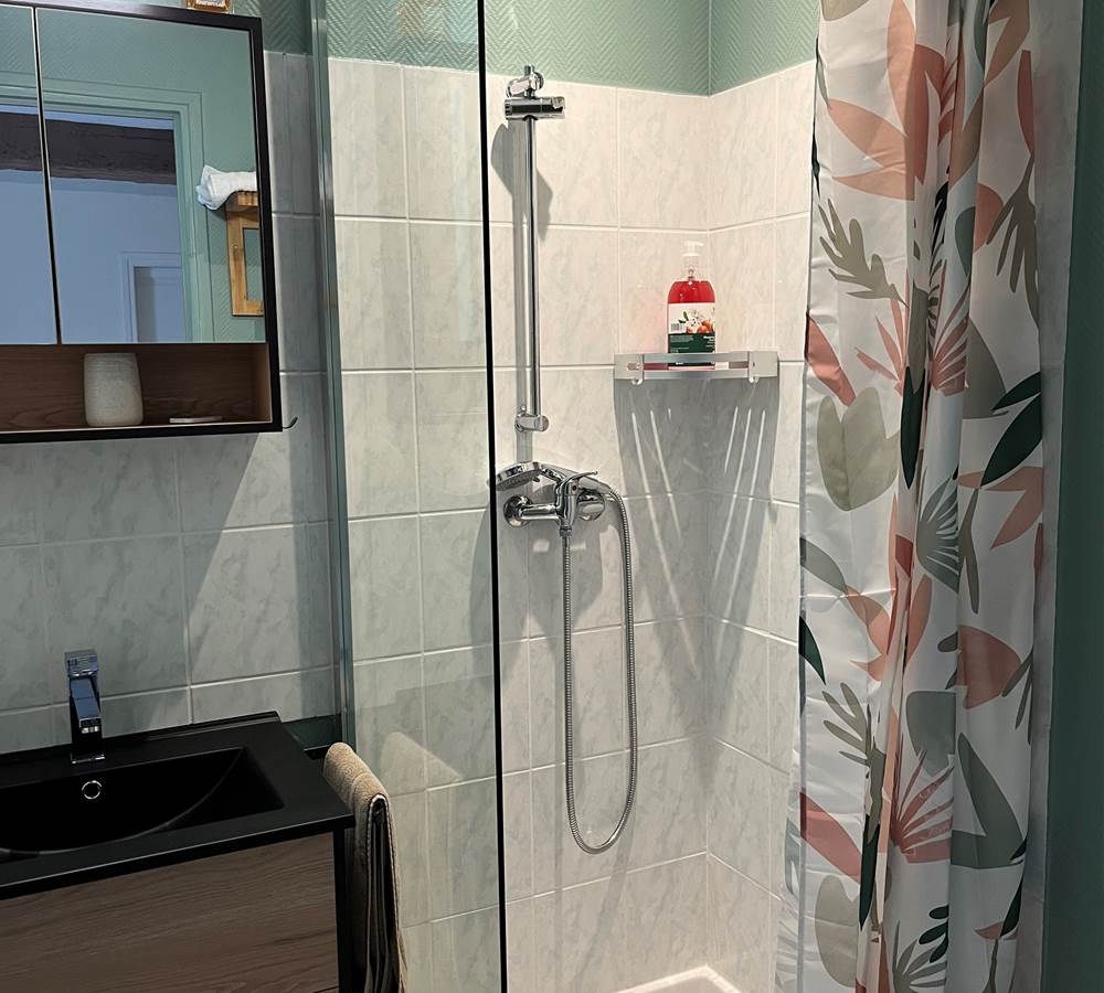 Salle de douche 1 et 2