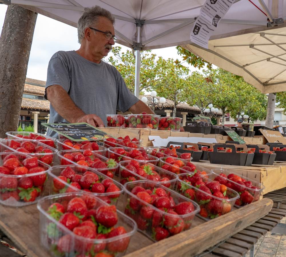 Les belles fraises de saison au marché de Tonneins
