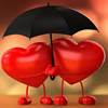 amour