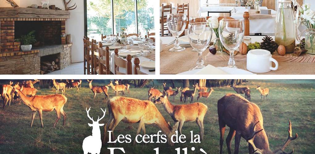 restaurant à la ferme