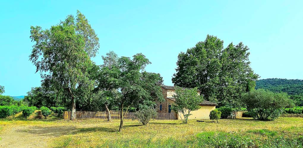 VIGNOBLE LE PLATANE