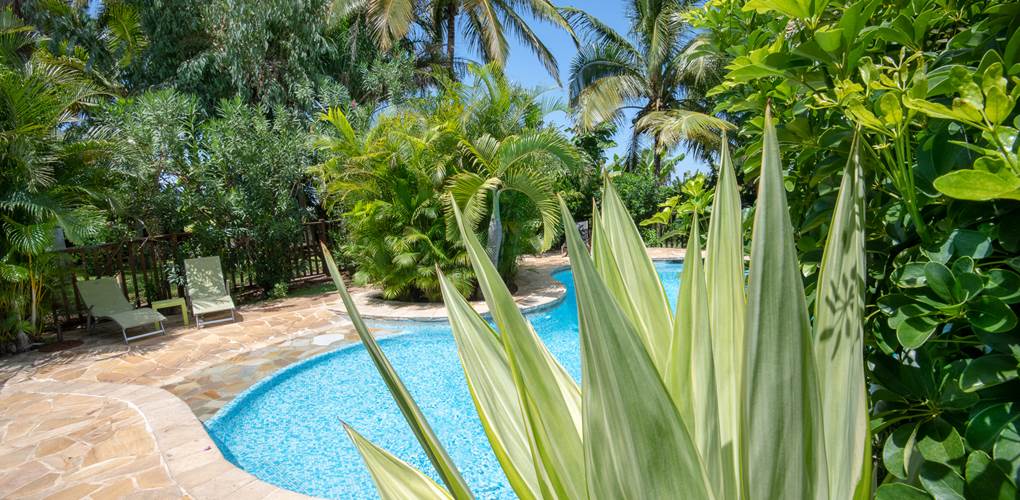VUE PISCINE DE LA TERRASSE DE L YLANG 1
