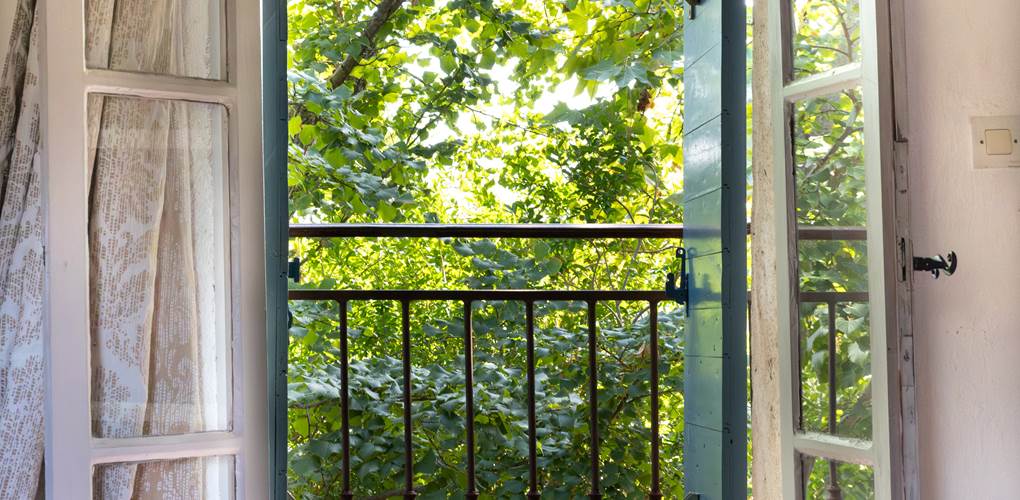 Domaine des Peirecedes-0253