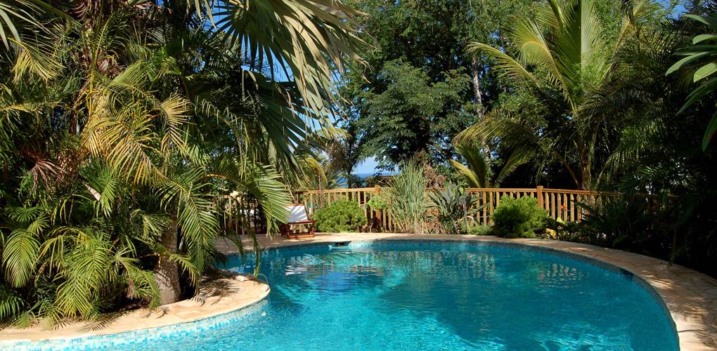 piscine 1