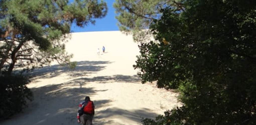 Dune du Pilât