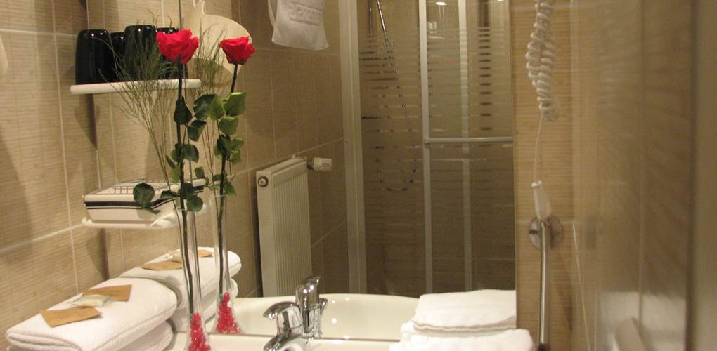 Salle de douche Chambre double Junior Le Pas de l' Âne saint Ondras