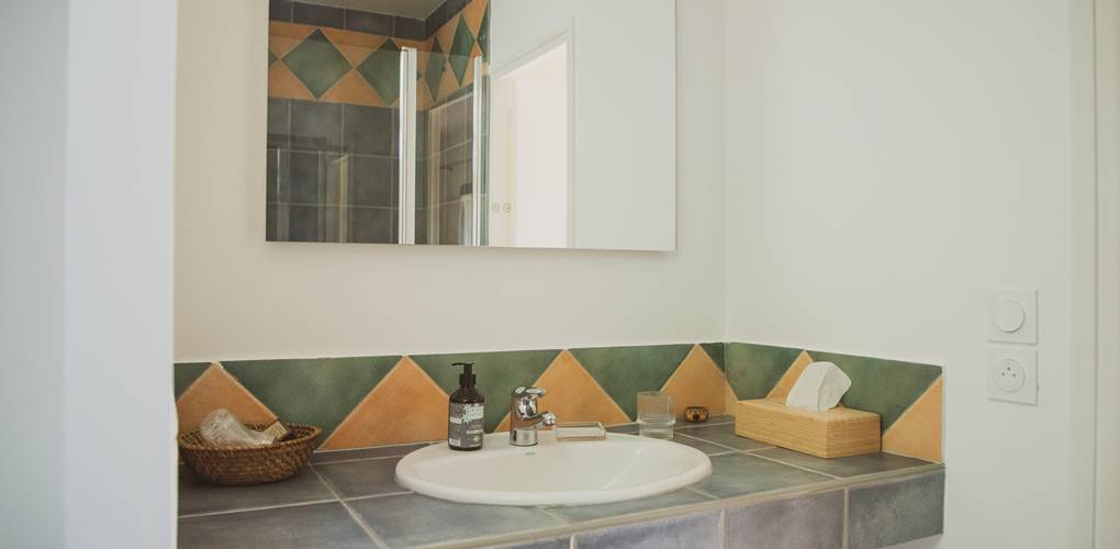 Salle de douche - vasques