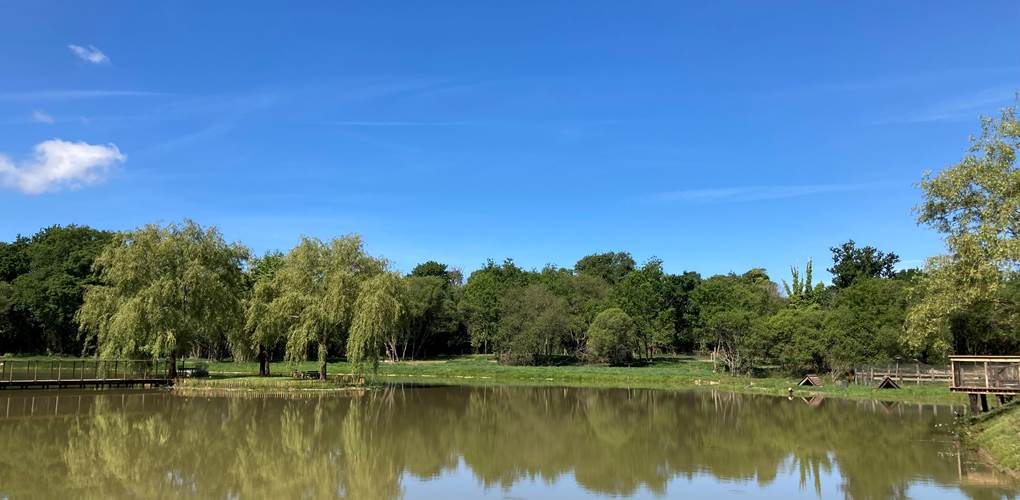 Etang Ecolodge Charles Ashton