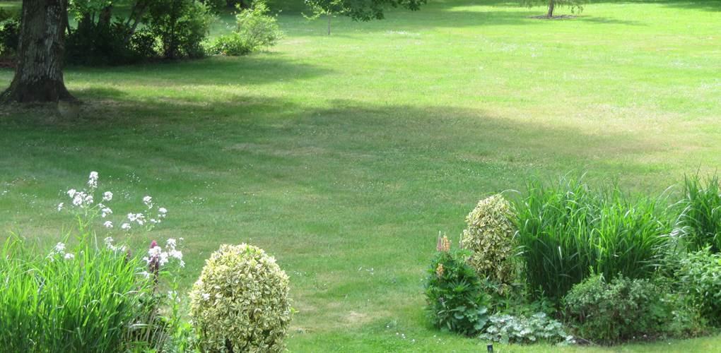 Vue jardin