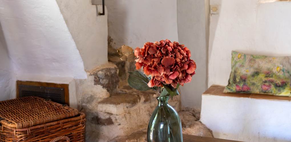 Domaine des Peirecedes-0249-2